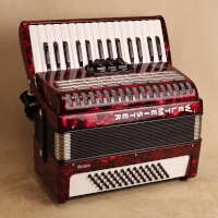 Weltmeister Rubin piano accordion
