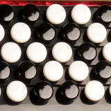 Learn Chromatic Accordion