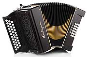 Castagnari Handry 2000 button accordion