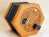 Concertina Connection Rose English